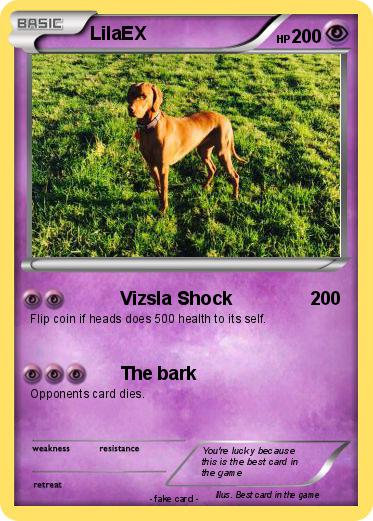 Pokemon LilaEX