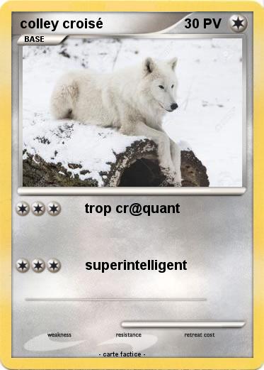 Pokemon colley croisé