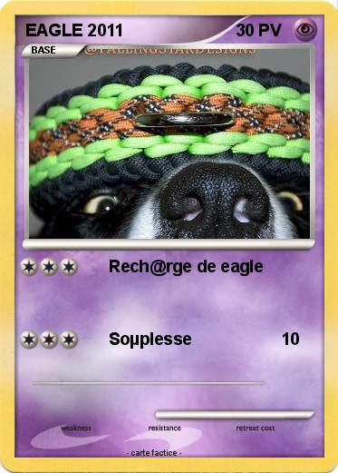 Pokemon EAGLE 2011