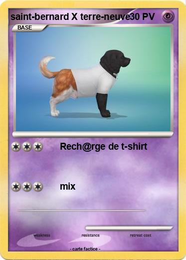 Pokemon saint-bernard X terre-neuve