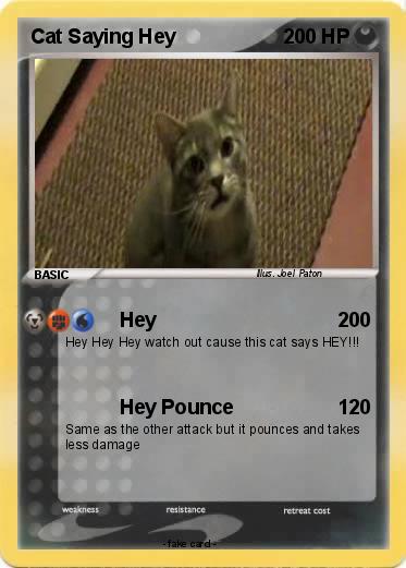 Pokemon Cat Saying Hey