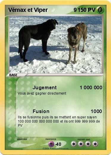 Pokemon Vémax et Viper                 9        