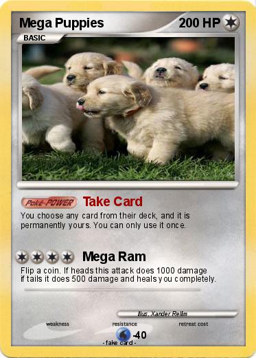 Pokemon Mega Puppies