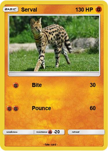 Pokemon Serval