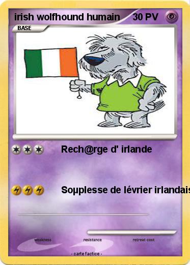 Pokemon irish wolfhound humain