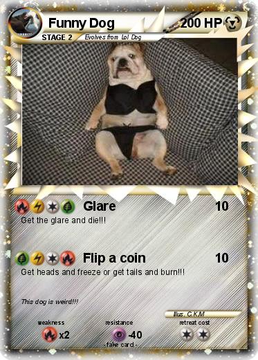 Pokemon Funny Dog