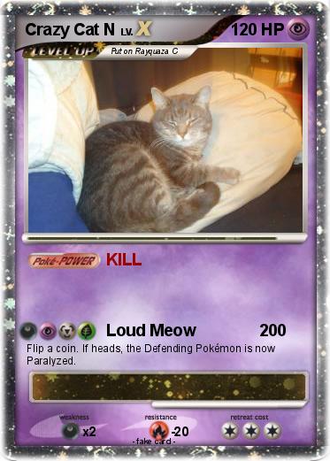 Pokemon Crazy Cat N