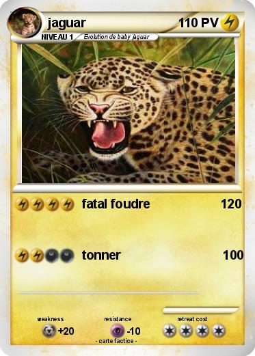Pokemon jaguar