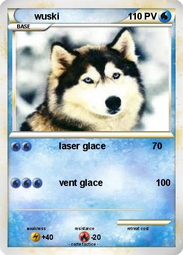 Pokemon wuski
