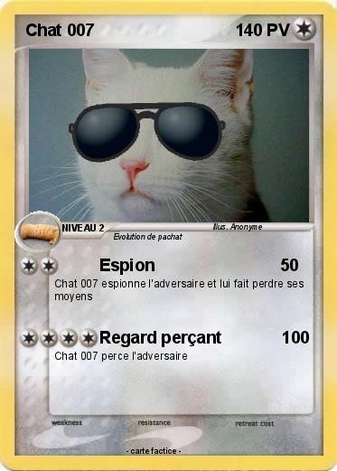 Pokemon Chat 007