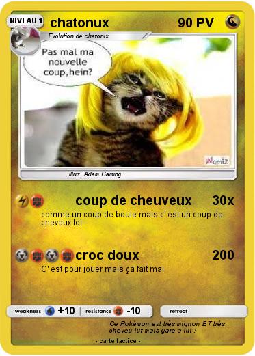 Pokemon chatonux