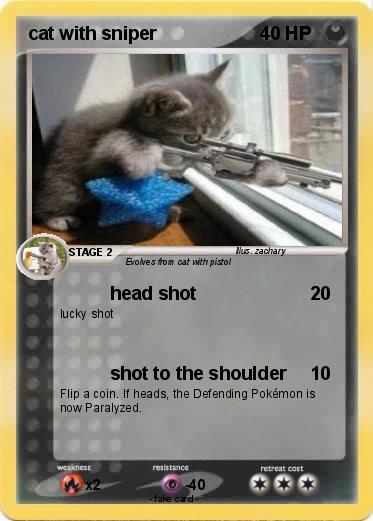 Pokemon cat with sniper