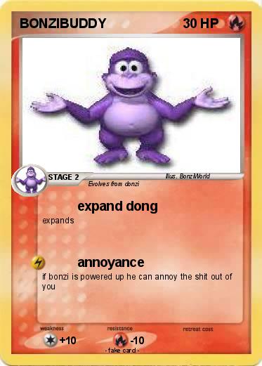 Pokemon BONZIBUDDY