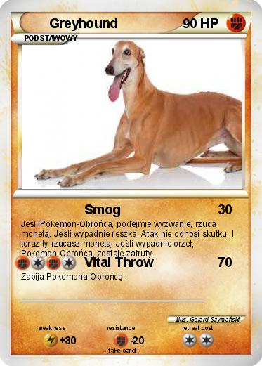 Pokemon Greyhound