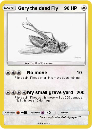 Pokemon Gary the dead Fly