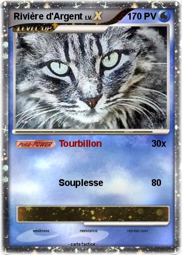 Pokemon Rivière d'Argent