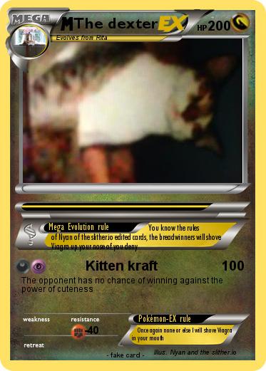 Pokemon The dexter