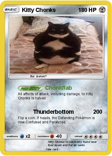Pokemon Kitty Chonks