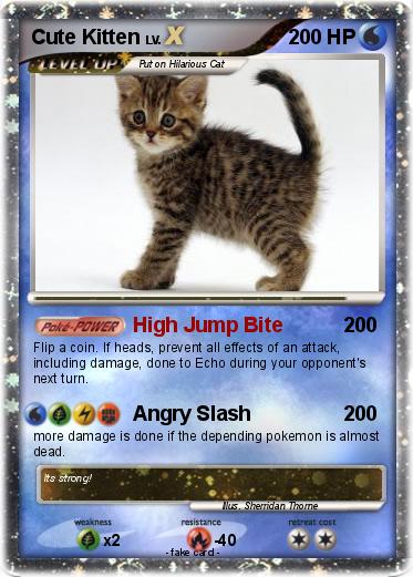 Pokemon Cute Kitten