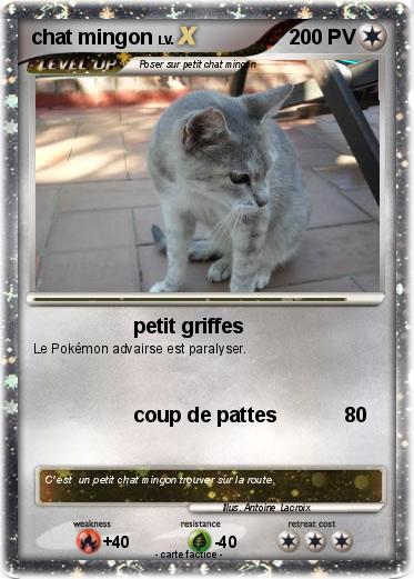 Pokemon chat mingon