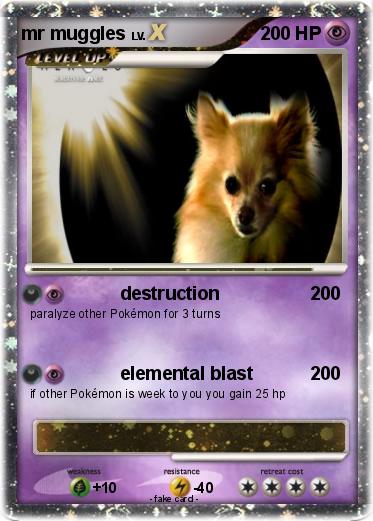 Pokemon mr muggles
