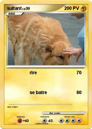 Pokemon sultant