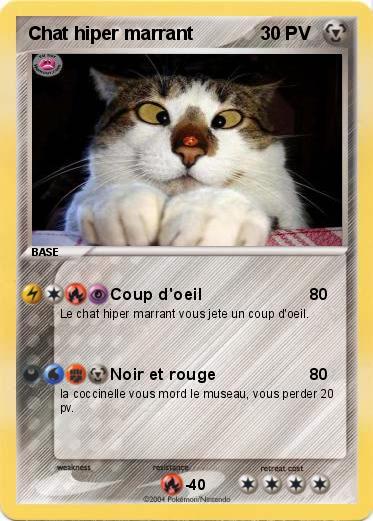 Pokemon Chat hiper marrant