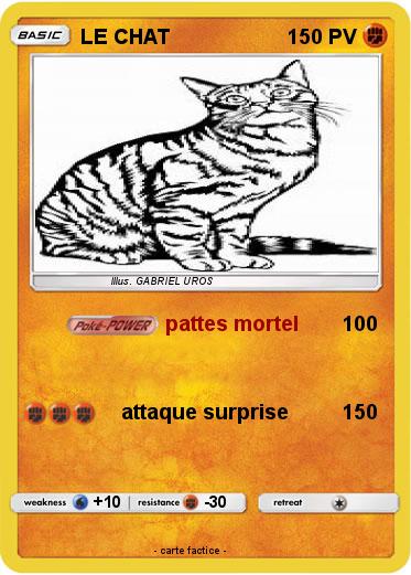 Pokemon LE CHAT
