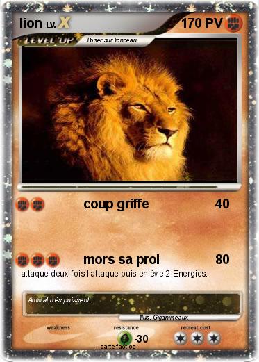 Pokemon lion
