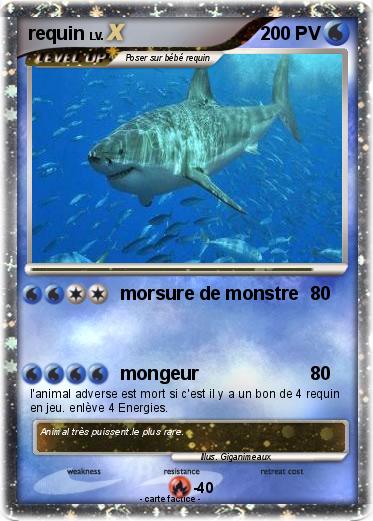 Pokemon requin