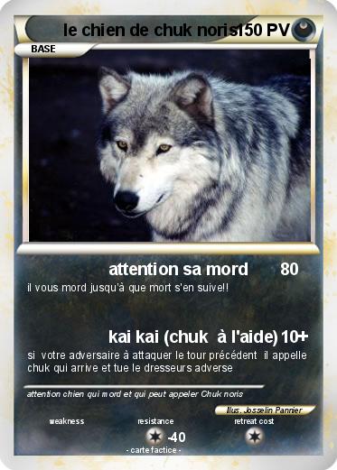 Pokemon le chien de chuk noris