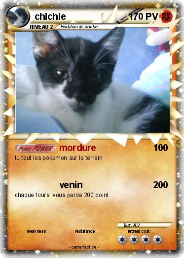 Pokemon chichie