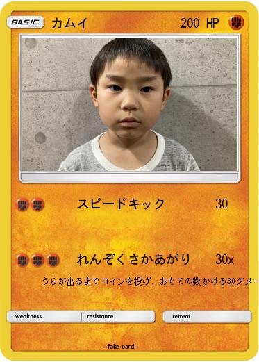 Pokemon カムイ