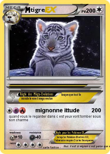 Pokemon tigre