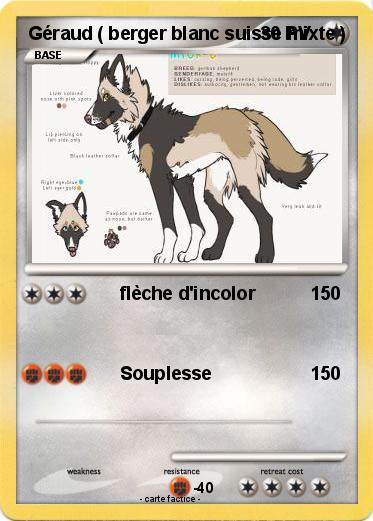 Pokemon Géraud ( berger blanc suisse mixte )