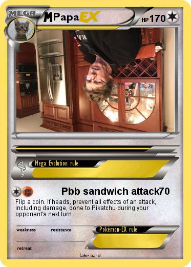 Pokemon Papa