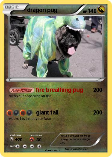 Pokemon dragon pug