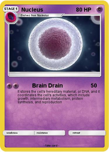 Pokemon Nucleus