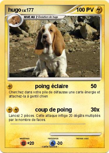Pokemon hugo