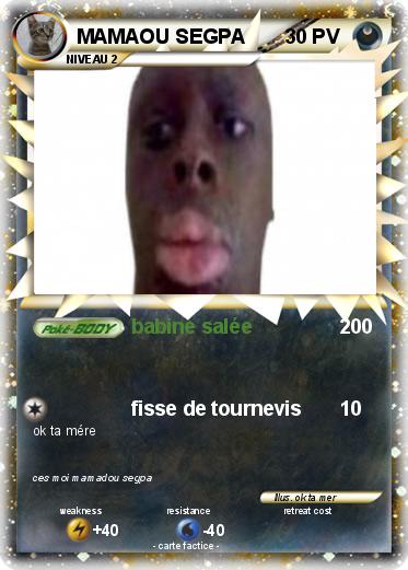 Pokemon MAMAOU SEGPA