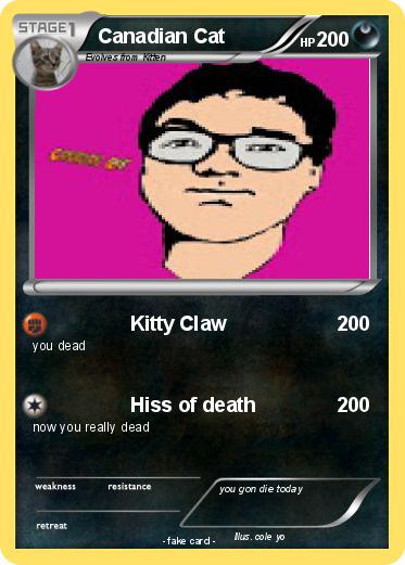 Pokemon Canadian Cat
