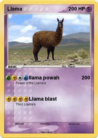 Pokemon Llama