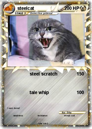 Pokemon steelcat
