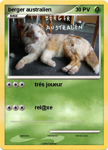Pokemon berger australien