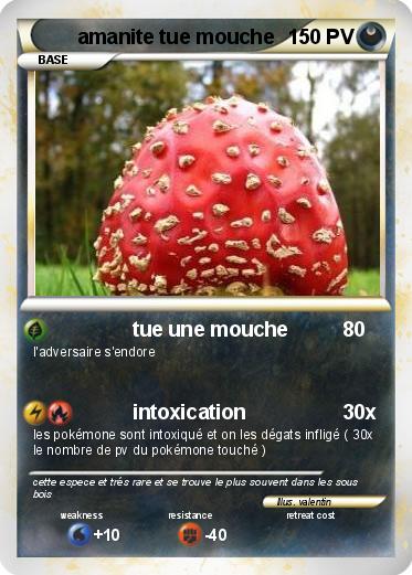 Pokemon amanite tue mouche