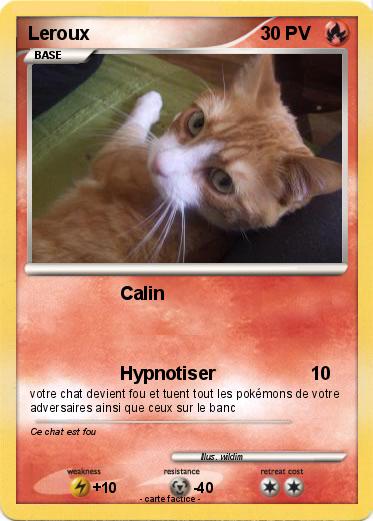 Pokemon Leroux