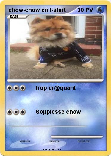 Pokemon chow-chow en t-shirt