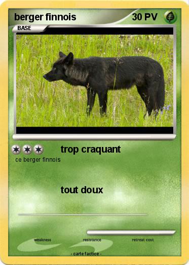 Pokemon berger finnois
