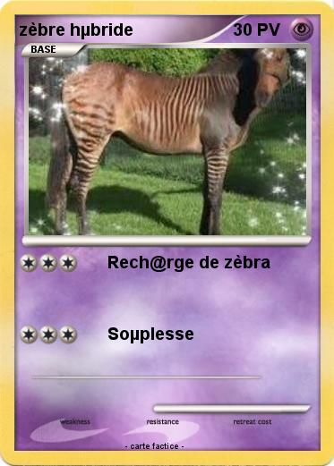 Pokemon zèbre hµbride