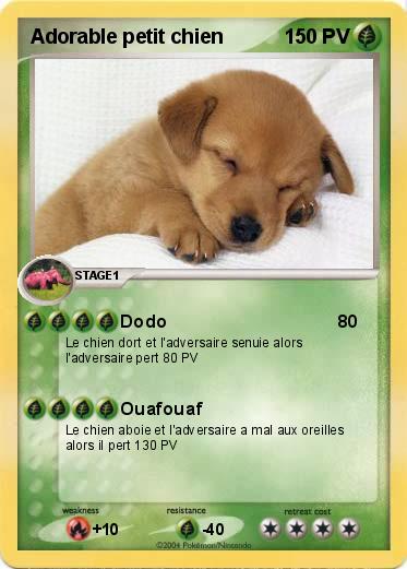 Pokemon Adorable petit chien